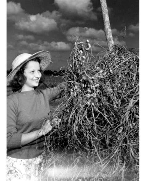 Teen dreams: 30 vintage pics of wholesome Florida teenagers